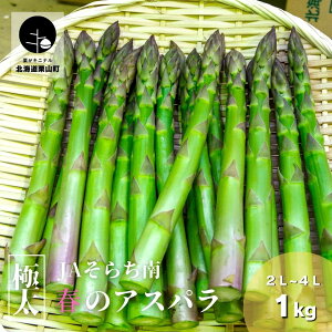 yӂ邳Ɣ[Łzys\zɑIJA炿 t̖ouO[AXpKXv2L`4L 1kgO