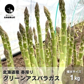 【ふるさと納税】【先行予約】北海道産 春採り 極太グリーンアスパラガス4Lサイズ 1kg おがファーム