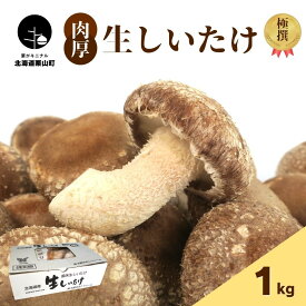 【ふるさと納税】【贈答用】北海道の自然で育った極撰肉厚しいたけ