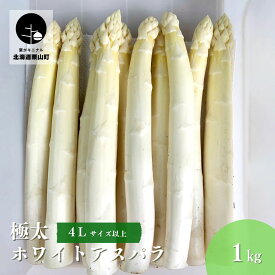 【ふるさと納税】北海道栗山町産 極太ホワイトアスパラ（4Lサイズ以上）1kg オジファーム