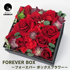 yӂ邳Ɣ[ŁzForever Box `tH[Go[ {bNXt[`