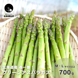 【ふるさと納税】北海道産「春一番！グリーンアスパラガス」M・Lサイズ以上《700g・1.4kg》