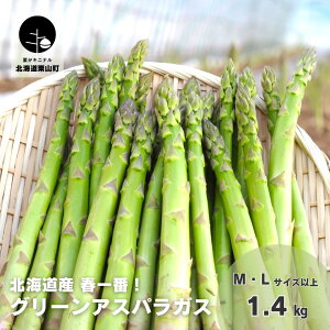 yӂ邳Ɣ[Łzys\zkCYutԁIO[AXpKXvMELTCYȏs700gE1.4kgt