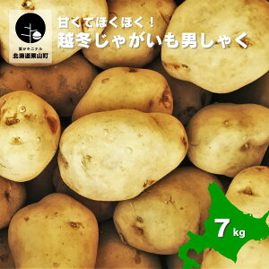 yӂ邳Ɣ[ŁzÂĂققIkCYz~ႪjႭ 7kg