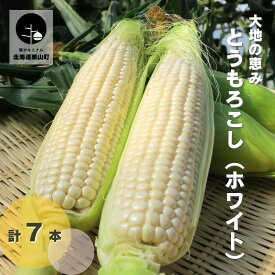 【ふるさと納税】【先行予約】大地の恵み「とうもろこし（ホワイト）」7本
