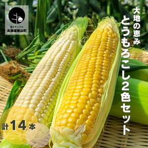 yӂ邳Ɣ[Łzys\zkC ňb݁uƂ낱2FZbgvs7{E 10{E14{t