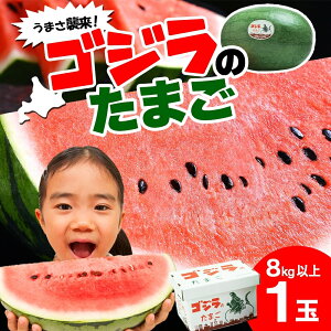 yӂ邳Ɣ[ŁzkC  XCJ SŴ܂ 1 8kg 2026N7{菇o  Z ʕ t[c {  Md Â j[N Y Yn Mtg j i 蕨 