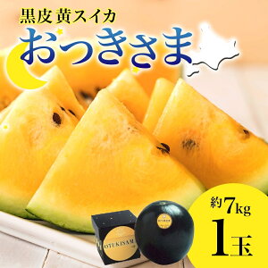 yӂ邳Ɣ[ŁzkC F  XCJ  1 7kg 2026N7{菇o  Z  XCJ  ʕ t[c {  Md Â Y Yn Mtg i 