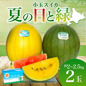 yӂ邳Ɣ[ŁzkC  XCJ 2 Zbg Ă̓Ɨ 2`2.5kg 2 ԐF F 2026N710菇o  ʕ t[c { Z Â v[g Mtg Ɨp   