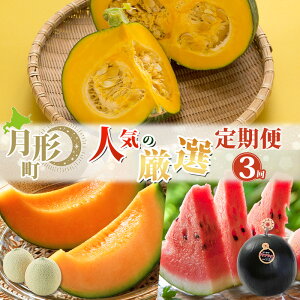 yӂ邳Ɣ[Łz` lČI  3񂨓͂  ԓ XCJ ڂ Z ʕ t[c  { G @͂F2026N7珇