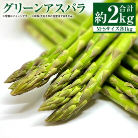 【ふるさと納税】 グリーンアスパラ M・Sセット 合計約2kg やさい 野菜 アスパラ アスパラガス 北海道 浦臼町 送料無料 【2026年5月下旬～6月下旬迄発送予定】