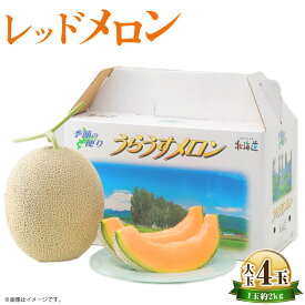 【ふるさと納税】レッドメロン 大玉4玉 1玉約2kg くだもの 果物 果実 フルーツ メロン 北海道 浦臼町 送料無料 【2026年7月上旬～2026年7月下旬発送予定】