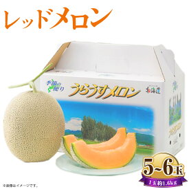 【ふるさと納税】レッドメロン 5～6玉 1玉約1.6kg くだもの 果物 果実 フルーツ メロン ノースランドレッドメロン 北海道 浦臼町 送料無料 【2026年7月上旬～2026年7月下旬発送予定】