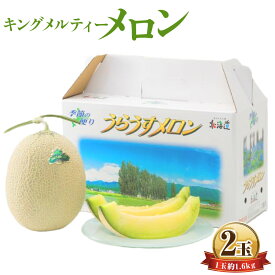 【ふるさと納税】キングメルティーメロン 2玉 1玉約1.6kg 18000円 1万8000円 くだもの 果物 果実 フルーツ メロン 青肉 青肉メロン 先行予約 希少 北海道産 北海道 浦臼町 送料無料 【2026年7月上旬～2026年7月下旬発送予定】