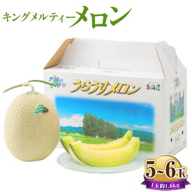 【ふるさと納税】キングメルティーメロン 5～6玉 1玉約1.6kg 果物 くだもの 果実 フルーツ メロン 北海道 浦臼町 送料無料 【2026年7月上旬～2026年7月下旬発送予定】