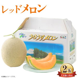 yӂ邳Ɣ[Łzbh2 1ʖ1.6kg  ʕ ʎ t[c  kC YP  y2026N7{`2026N7{\z yVX[p[SALE 9J