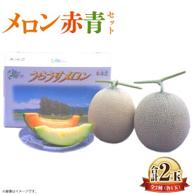 【ふるさと納税】メロン赤・青セット 1玉約1.6kg くだもの 果物 果実 フルーツ メロン 北海道 浦臼町 送料無料 【2026年7月上旬～2026年7月下旬発送予定】