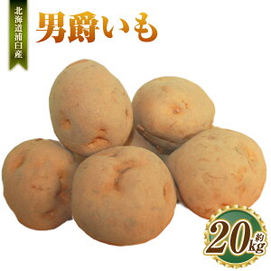 yӂ邳Ɣ[Łzj݂ 20kg Ⴊ  kC YP  y2025N9{`2025N10{\z yVX[p[SALE 9J