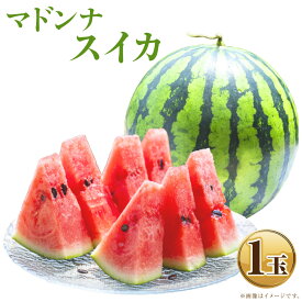 【ふるさと納税】マドンナスイカ 1玉 （2～3Lサイズ） くだもの 果物 果実 フルーツ 西瓜 スイカ 北海道 浦臼町 送料無料 【2026年7月上旬～2026年7月下旬発送予定】