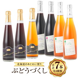 【ふるさと納税】北海道のあじわい便り ぶどうづくし 4種セット 計7本 ノンアルコールワイン（赤・白 各2本）・スパークリンググレープ（赤×2・白×1） ワイン 葡萄 ぶどう ブドウ フルーツ くだもの 果物 果実 果汁 お酒 飲料 北海道産 国産 北海道 浦臼町 送料無料