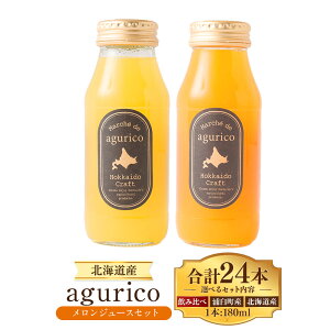 【ふるさと納税】〈選べる種類〉 agurico 浦臼町産メロン 180ml×24本 / 北海道産メロン 180ml×24本 / メロン飲み比べセット180ml×24本 計4.32L メロン ジュース キングメルティー フルーツ 果物 フ