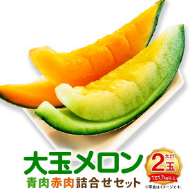 【ふるさと納税】（先行予約） 大玉メロン 青肉 赤肉 各1玉 詰合せ セット 1玉1.7kg以上 メロン 果物 くだもの フルーツ 果実 北海道 浦臼町 送料無料 【2026年7月上旬～8月上旬迄発送予定】