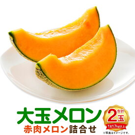 【ふるさと納税】（先行予約）大玉 赤肉メロン 2玉 詰め合わせ 1玉1.7kg以上 12000円 1万2000円 メロン 赤肉 ティアラ フルーツ くだもの 果物 果実 北海道 浦臼町 送料無料 【2026年7月上旬～8月上旬迄発送予定】