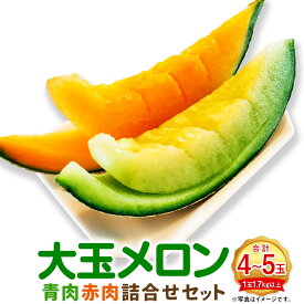 【ふるさと納税】（先行予約）大玉メロン 青肉 赤肉 4～5玉 詰合せ セット 1玉1.7kg以上 くだもの 果物 フルーツ 果実 詰め合わせ 北海道 浦臼町 送料無料 【2026年7月上旬～8月上旬迄発送予定】