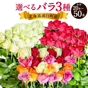 yӂ邳Ɣ[ŁzsIׂFE{to sA}_iԁj / AhoXij / ts20]30{ / 40]50{t A ԃo o KN [Y  蕨 v[g Mtg j LO
