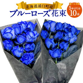 【ふるさと納税】《選べる本数》ブルーローズ（花束） 5本 / 10本 花 植物 バラ 薔薇 ローズ ブルー 青 ブルーローズ 青バラ花束 ブーケ 生花 贈り物 プレゼント ギフト お祝い 記念日 誕生日 北海道 浦臼町 送料無料