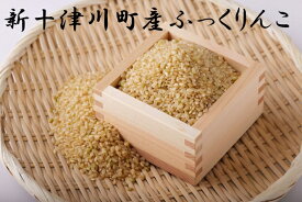 【ふるさと納税】ふっくりんこ玄米（10kg）【11018】