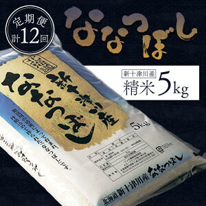 yӂ邳Ɣ[Łzst yߘa7NxYz ȂȂڂ   12 5kg v60kg(5kg×12) IC \ ӂ邳Ɣ[ kC V\Ð   uh uh kC Mtg V