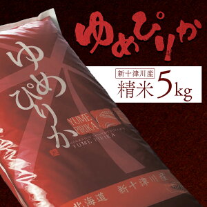 yӂ邳Ɣ[Łzsstt yߘa7NxYz ߂҂肩  5kg IC \ ӂ邳Ɣ[ kC V\Ð kCY  uh uh  kC  ͂ Mtg 