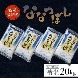 【ふるさと納税】《先行受付》【令和7年度産】 ななつぼし 特別栽培米 20kg オンライン 申請 ふるさと納税 北海道 新十津川 北海道産 米 ブランド ブランド米 お米 北海道米 ご飯 令和7年 ギフト 贈り物 新十津川町【1100604】