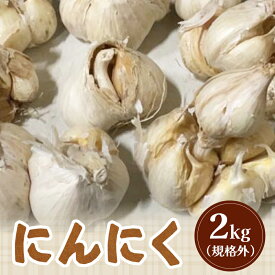 【ふるさと納税】【先行受付】【訳あり】 にんにく 2kg【令和7年8月～12月発送】 オンライン 申請 ふるさと納税 北海道 新十津川 北海道産 ニンニク 訳あり 訳あり品 規格外品 大容量 肉厚 新十津川町【1200301】