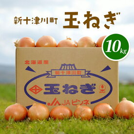 【ふるさと納税】【先行受付】 玉ねぎ Lサイズ （10kg） 【令和7年10月～12月中旬発送】 オンライン 申請 ふるさと納税 北海道 新十津川 9000 北海道 たまねぎ タマネギ 玉葱 大容量 新鮮 甘い 野菜 サラダ 新十津川町【1200101】
