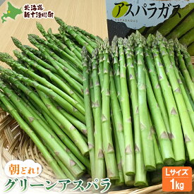 【ふるさと納税】【先行受付】 グリーンアスパラ （Lサイズ1kg）【令和8年5月中旬～6月中旬発送】 オンライン 申請 ふるさと納税 北海道 新十津川 北海道産 アスパラ 朝採り 野菜 やさい 新鮮 大容量 新十津川町【1201501】