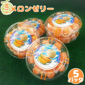 【ふるさと納税】【先行受付】ミニメロンゼリー 5パック（各18個入） 【令和7年8月～11月発送】 オンライン 申請 ふるさと納税 北海道 新十津川 メロンゼリー ゼリー メロン ひとくちゼリー 子供 こども ギフト 贈り物 新十津川町【1201001】