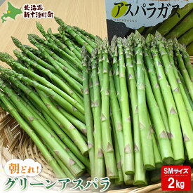 【ふるさと納税】【先行受付】 グリーンアスパラ SMサイズ 2kg （S・Mサイズ各1kg）【令和8年5月中旬～6月中旬発送】オンライン 申請 ふるさと納税 北海道 新十津川 北海道産 アスパラ 朝採り 新十津川町【1201601】