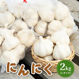 【ふるさと納税】【先行受付】にんにく 2kg （Lサイズ）【令和7年8月～12月発送】 オンライン 申請 ふるさと納税 北海道 新十津川 北海道産 ニンニク L 大サイズ 訳あり 訳あり品 規格外品 大容量 肉厚 新十津川町【1200401】