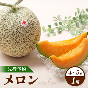 【ふるさと納税】【先行予約】 赤肉メロン1箱(4〜5玉) 【令和8年7月〜8月上旬発送】 先行予約 メロン 北海道 赤玉 セット 4玉 5玉 果物 フルーツ 赤肉メロン 赤肉 ワンストップ オンライン