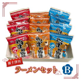 【ふるさと納税】新十津川ラーメンセットB（新十津川物語ラーメンみそ・しお・しょうゆ各4個）【1202601】