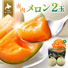 【ふるさと納税】【先行予約】【数量限定】 赤肉メロン2玉【令和8年7月～8月上旬発送】| メロン 北海道 赤玉 セット詰め合わせ オンライン申請 オンライン ワンストップ マイページ デザート 果物 フルーツ 赤肉メロン 赤肉 ふるさと納税 北海道 新十津川町【12031】