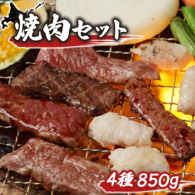 【ふるさと納税】大畠精肉店 の 焼肉セット（計4種×850g） オンライン 申請 ふるさと納税 北海道 新十津川 焼肉セット 焼き肉セット カルビ サガリ タン ホルモン 焼き肉 BBQ バーベキュー 冷凍 お取り寄せ 取り寄せ 新十津川【1300902】