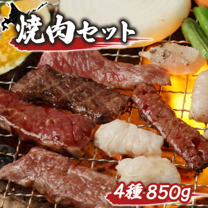 yӂ邳Ɣ[Łz唩X  ēZbgiv4×850gj IC \ ӂ邳Ɣ[ kC V\Ð ēZbg ĂZbg Jr TK ^ z Ă BBQ o[xL[ 