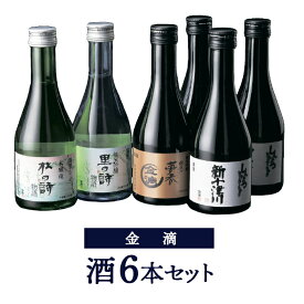 【ふるさと納税】【金滴酒造】日本酒6本セット(各300ml) オンライン 申請 ふるさと納税 北海道 新十津川 北海道産 300ml 瓶 ミニボトル 日本酒 酒 お酒 地酒 高級 詰め合わせ ギフト 贈り物 新十津川町【1500301】