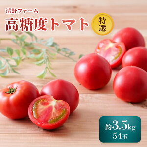 【ふるさと納税】《先行受付》 【特選】 清野ファームの高糖度トマト 54玉(約3.5kg)【7月1日〜8月31日頃発送】 |トマト オンライン 申請 ふるさと納税 北海道 新十津川 甘い 高糖度 フルー