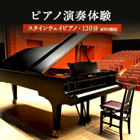 【ふるさと納税】スタインウェイピアノ 試弾券（120分） ※平日限定（午前9時～午後9時） オンライン 申請 ふるさと納税 北海道 新十津川 ピアノ スタンウェイピアノ ピアノ試弾券 新十津川町【2100101】