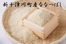 【ふるさと納税】ななつぼし精米定期便(15kg×6回)　※偶数月にお届け【11007】