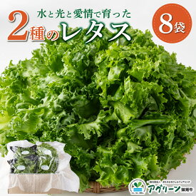 【ふるさと納税】水と光と愛情で育ったレタス詰め合わせ 8袋入 | リボンレタス フリルレタス 北海道 妹背牛町 レタス 詰め合せ サラダ 水耕栽培 空知
